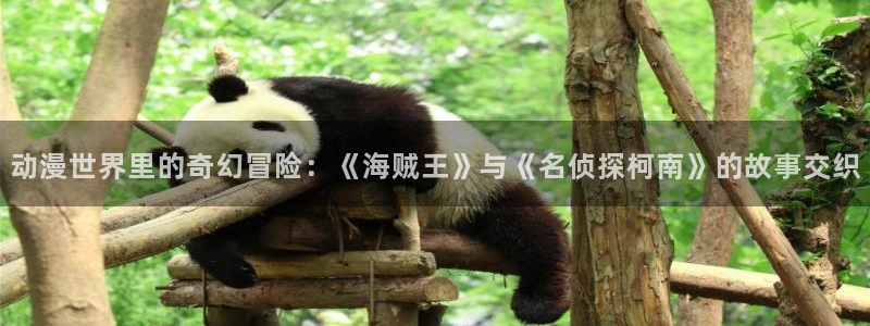 58动漫动画：动漫世界里的奇幻冒险：《海贼王》与《名侦探柯南》的故事交织