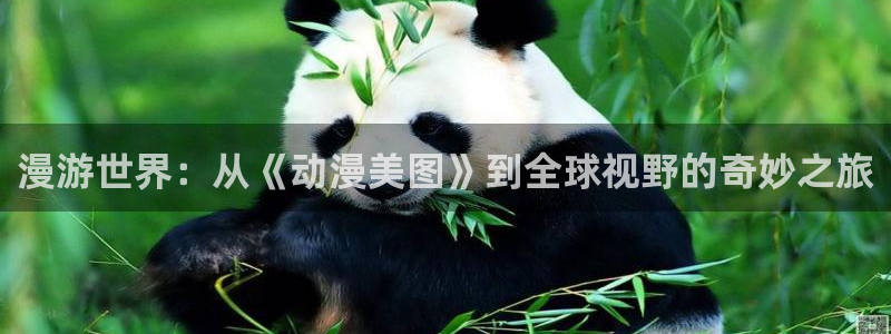 58动漫网站：漫游世界：从《动漫美图》到全球视野的奇妙之旅